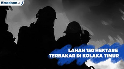 Lahan Seluas 150 Hektare Terbakar di Kolaka Timur