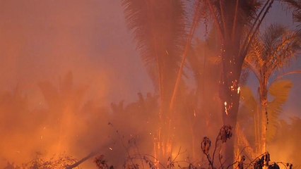 Bolsonaro vuelve autorizar el uso de fuego para cultivos en regiones fuera del Amazonas