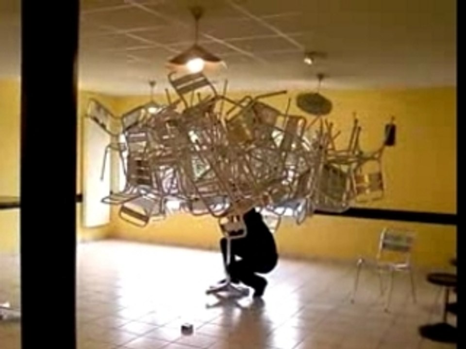Destruction arbre de chaise