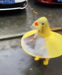 Hilarant : cette petite fille a un parapluie sur mesure