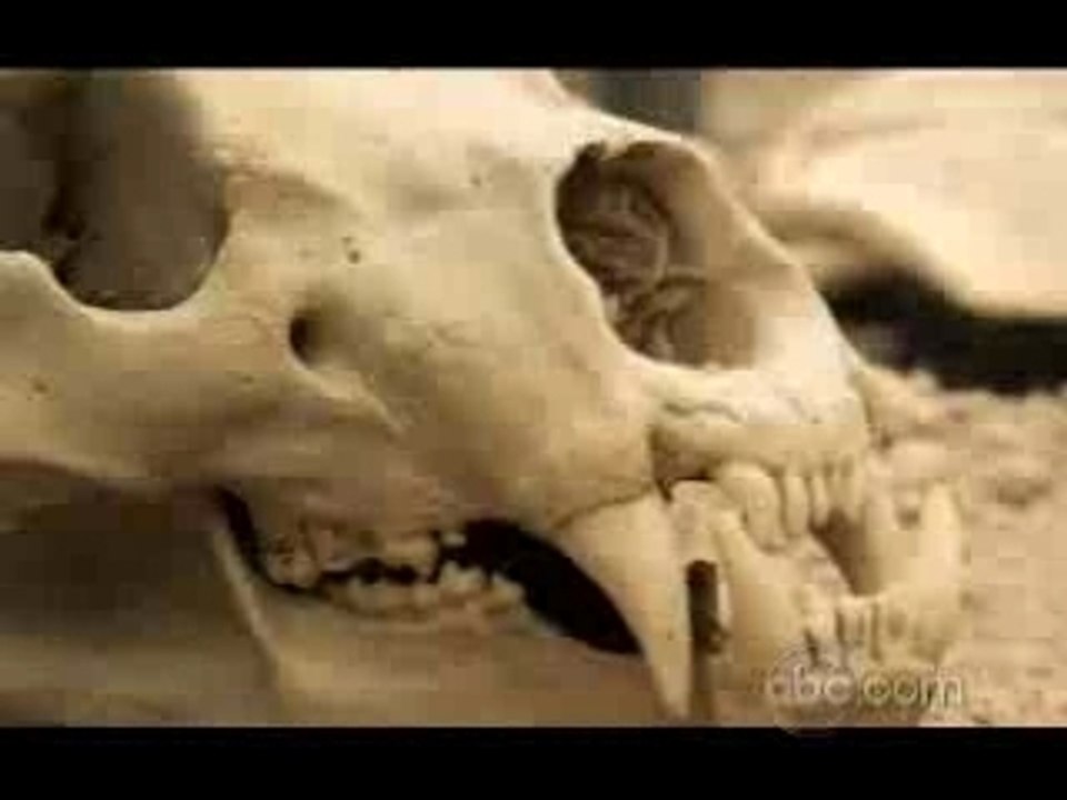 Skrivnostni otok 4x02