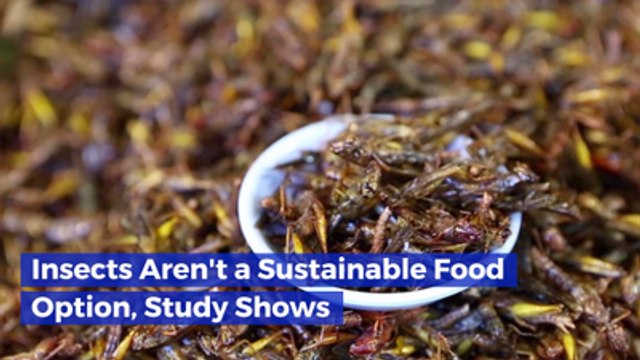 Eating Insects For Protein Isn't That Eco-Friendly
