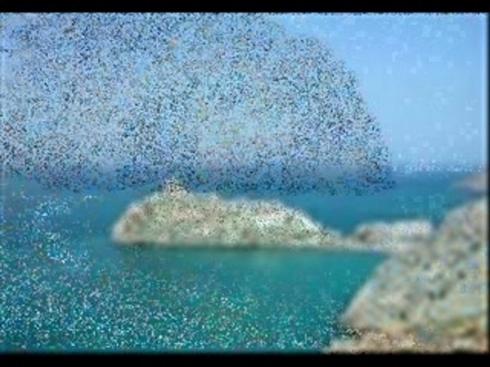 mimoun et rachid kasmi