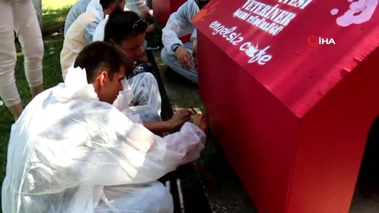 Özel çocuklar sokak hayvanları için hazırlanan kulübeleri boyadı