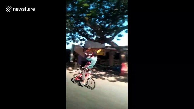 Indonesian man rides bike by sitting backwards on handlebars