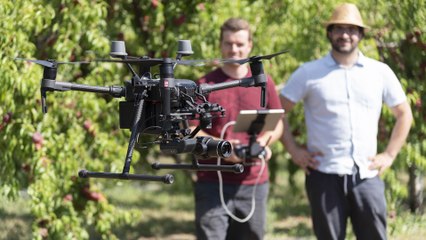 Suivre la croissance des cultures grâce à des capteurs connectés aux champs