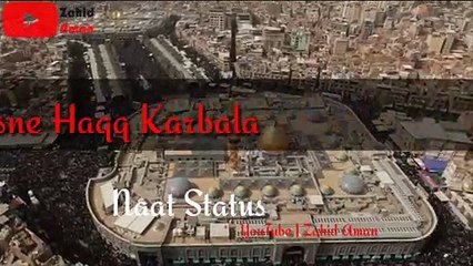 Mere Hussain Tujhe Salam || Owais Qadri