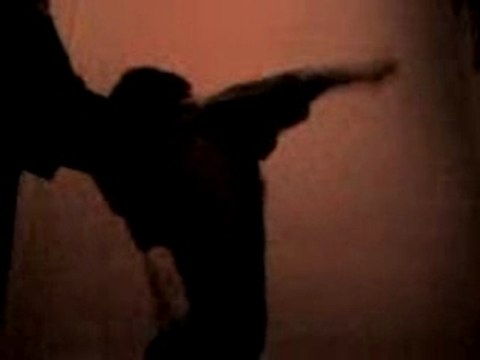 Chat qui danse sur Missy Elliot