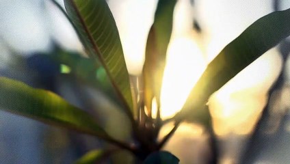 A vendre - Commerce - Vevey (1800) - 1 pièce - 151m²