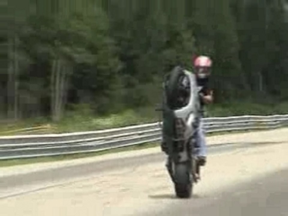PurBredRiders - 970ft