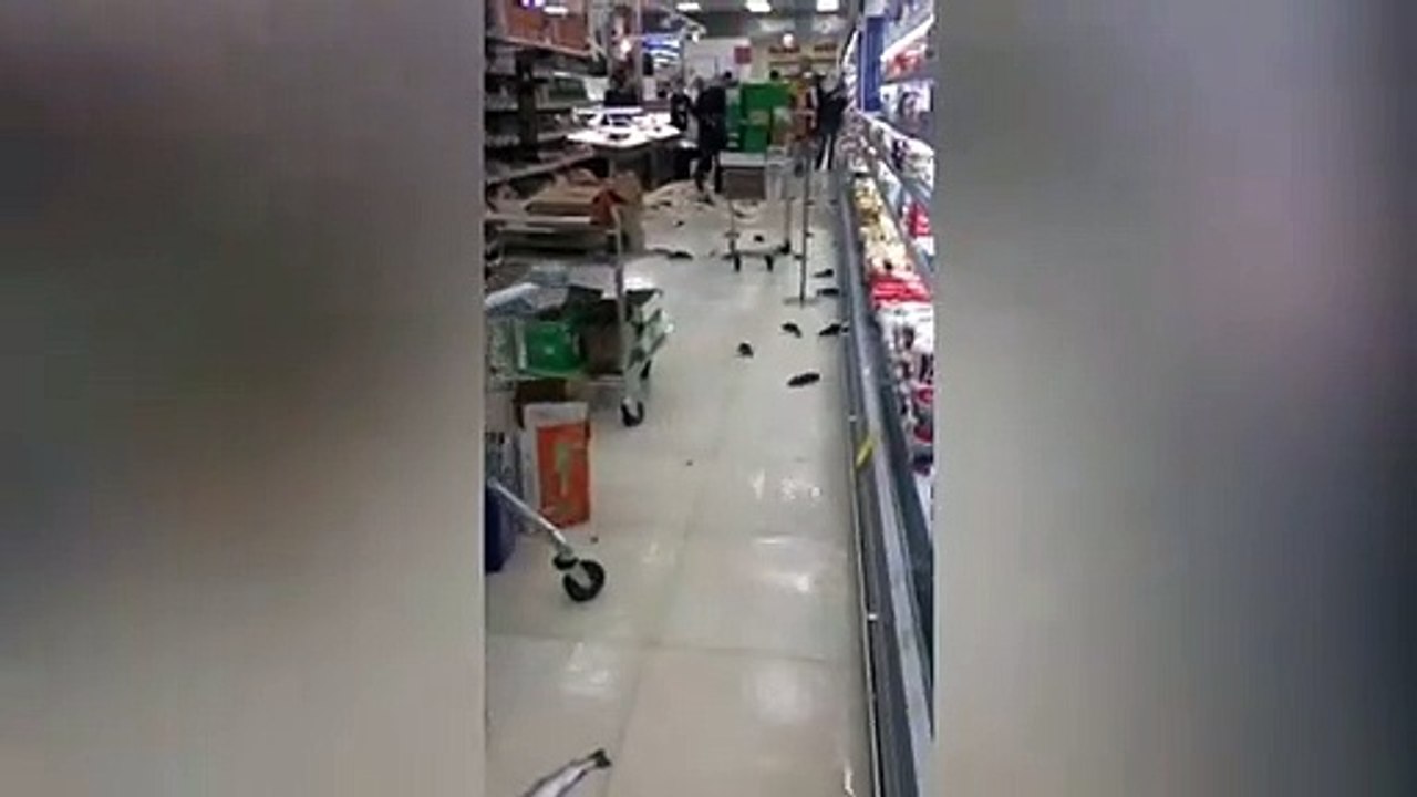 Fish Mess up at super market
