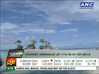 Tourist arrivals up 11%