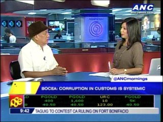 Customs reshuffle not enough: BOCEA