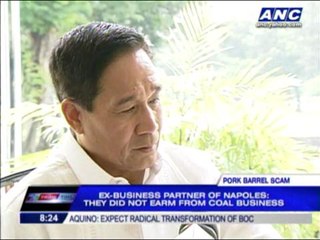 'Napoles didn't earn from coal business'