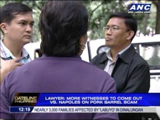 2 more witnesses to surface vs Napoles: lawyer