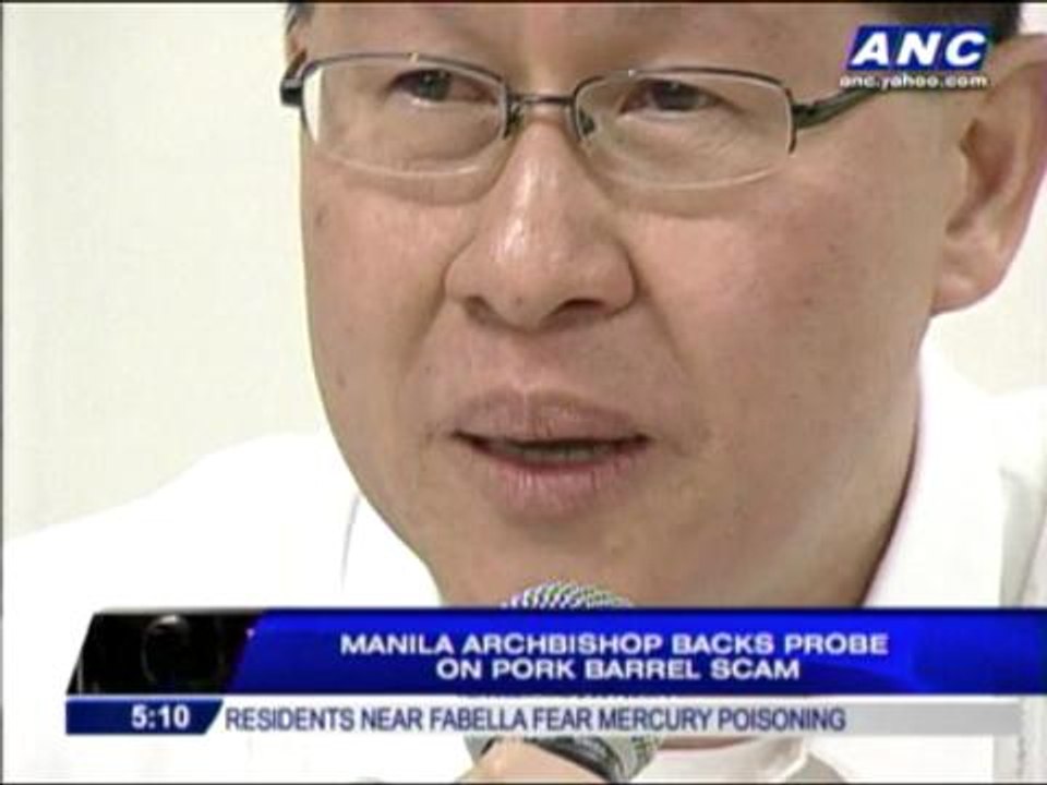Tagle backs probe on pork barrel scam