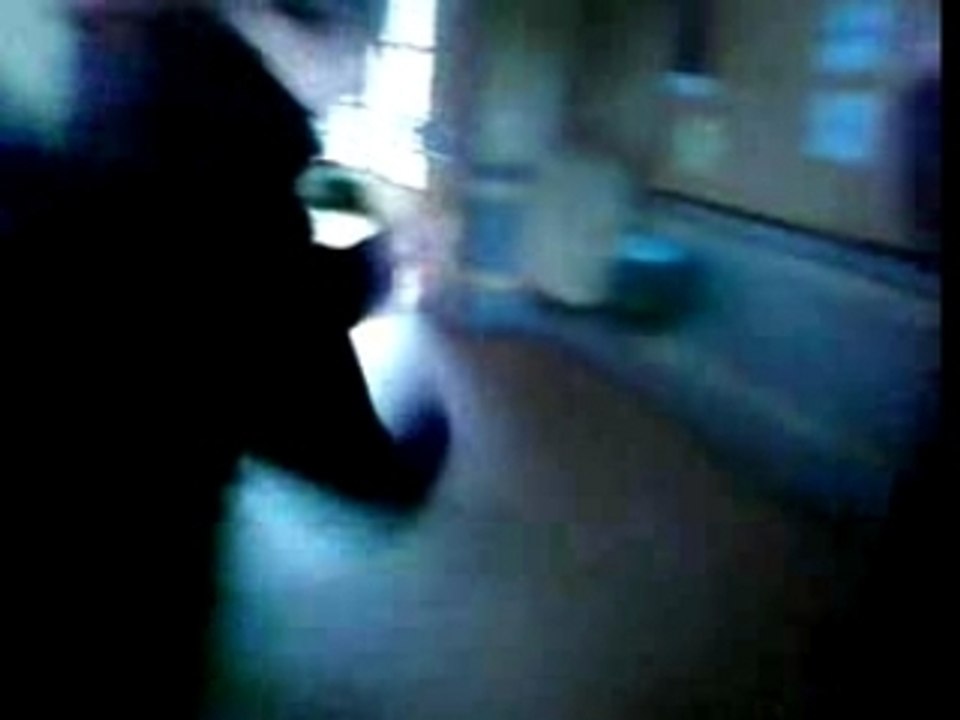 Chucky et la Tecktonik