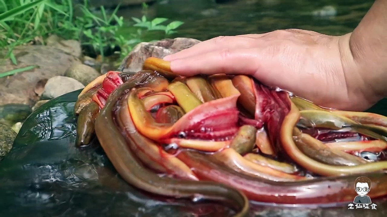 Freshwater Eels Cooking and Eating (Yummy feast in the wild) video Dailymotion