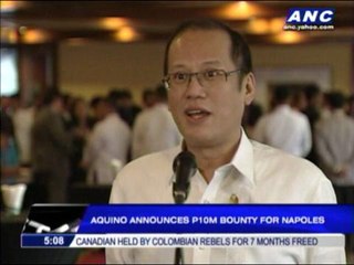 P10-M bounty out for Napoles