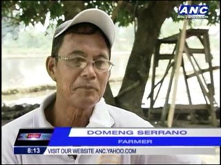 Bataan farmers affected by pork scam