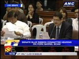 After testimony, ex-Nabcor head skips Senate hearing