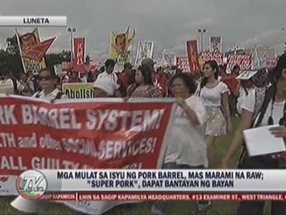 More anti-pork rallies set until end of year