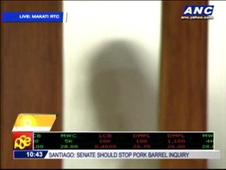Court hears Napoles bail petition