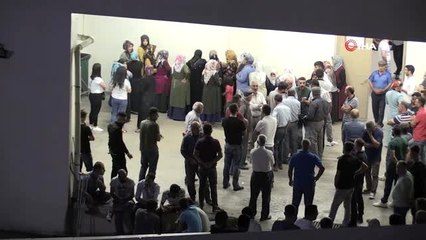 Siirt'te yılanın soktuğu kadın hayatını kaybetti