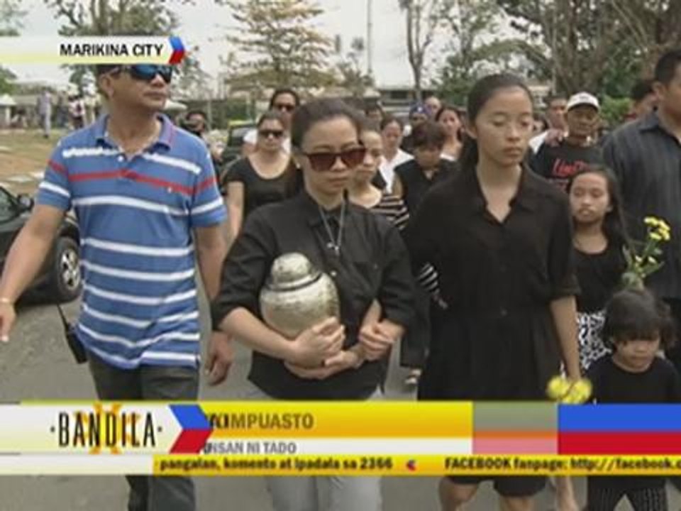 Ill-fated Florida bus driver gets traffic violation ticket