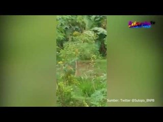 Ini Detik - Detik Longsor di Nganjuk