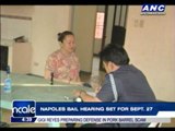 Court enters not guilty plea for Napoles