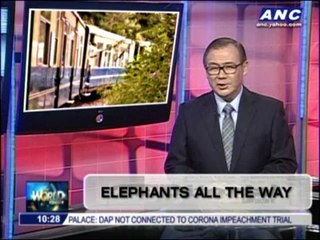 Teditorial: Elephants all the way