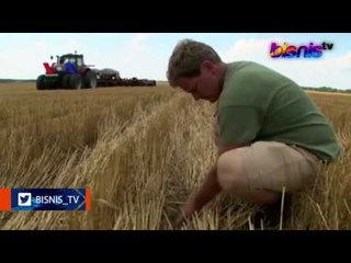 Teknik Tanpa Bajak Tingkatkan Produktivitas Pertanian