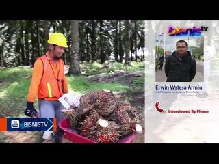 IHSG Masih Akan Menguat, Simak Rekomendasi Sahamnya - Bisnis Pagi Edisi 28 Juli 2017 (1/3)