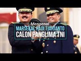 Mengenal Marsekal Hadi Tjahjanto, Calon Panglima TNI