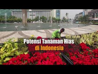 Potensi Tanaman Hias di Indonesia