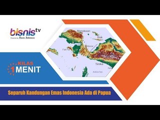 Separuh Kandungan Emas Indonesia Ada di Papua