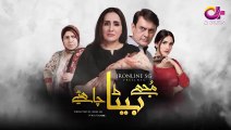 Mujhay Beta Chahiye - Episode 11 - Aplus Dramas - Sabreen, Shahood - Pakistani Drama