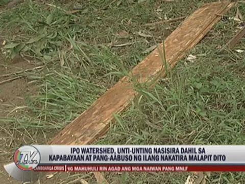 Illegal logging threatens Ipo watershed