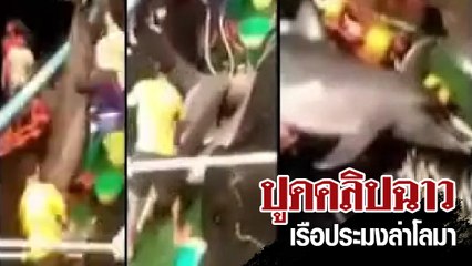 ปูดคลิปฉาว ! เรือประมงจับโลมา สารภาพจับมากถึง 30 ตัว