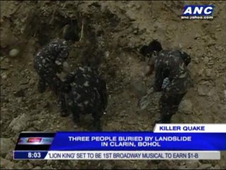 Despair, survival in quake-hit Bohol towns