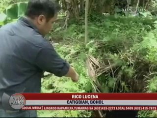 LOOK: Largest sinkhole after Bohol quake found