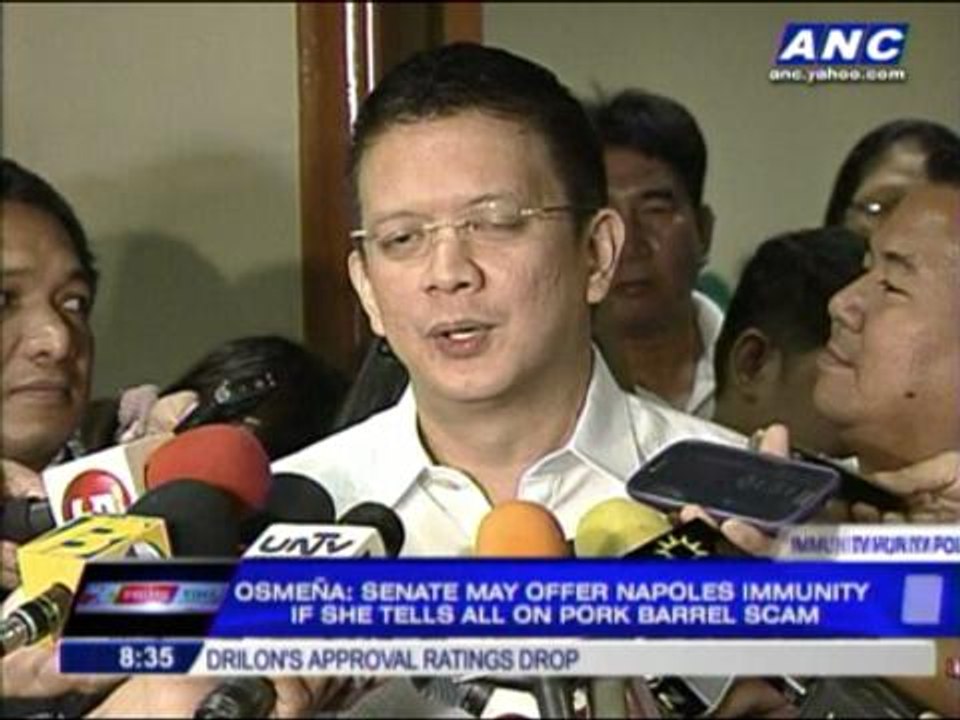 Why Senate may offer Napoles immunity