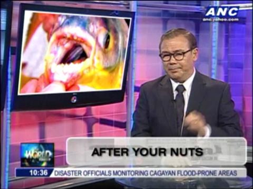 Teditorial: After your nuts