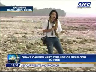 How Bohol seafloor rose during quake
