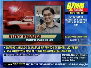 Napoles owns 200 lawn lots in Heritage Park
