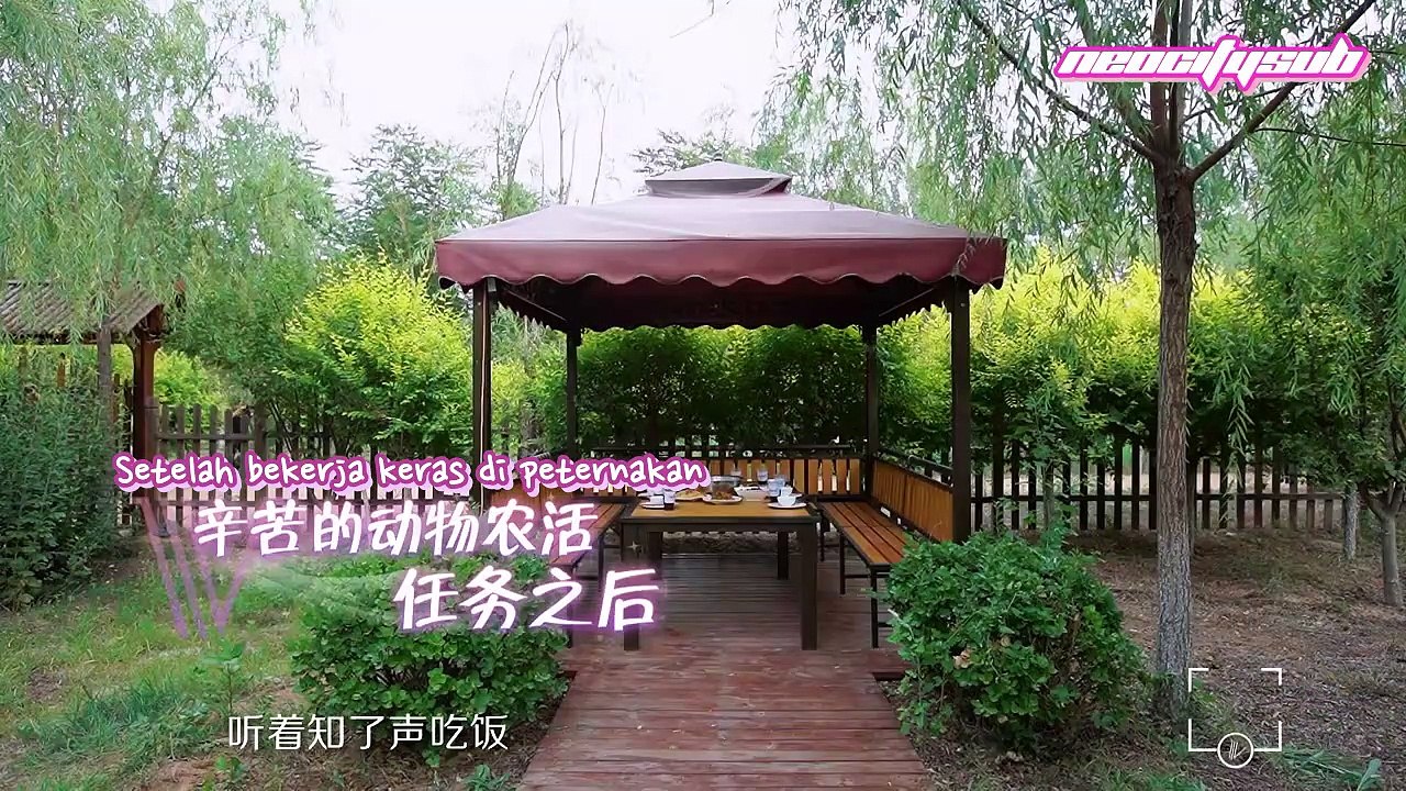 [INDO SUB] 190825 WayV Dream Plan Episode 3