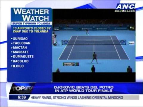 Djokovic beats Del Potro in ATP World Tour