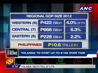 'Yolanda' damage may cost $12 billion, says US expert