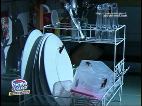 pamilyaonguard-RIGHT KITCHEN SOAP COULD SPARE YOUR FAMILY FROM DISEASES